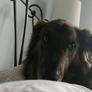 Meet your Posher, Tracie